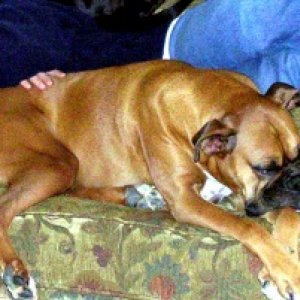 Tanner Snoozing