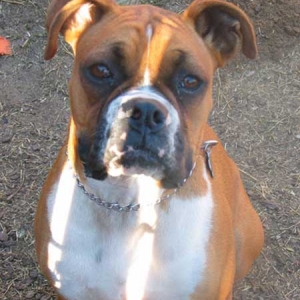 chloe