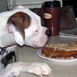 Just Help Yourself! lol