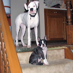 Ellie and Ava