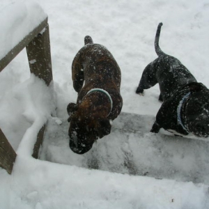 2.12.06 snow 4