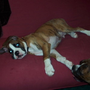 Duke and Mack 2