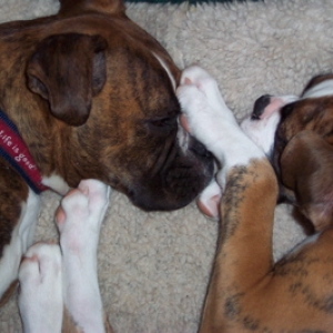 Duke and Mack
