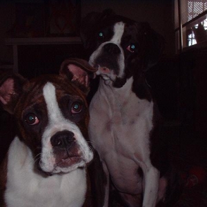 Nina&June