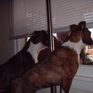 Nina&June