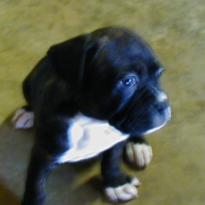 Our New Baby Girl
