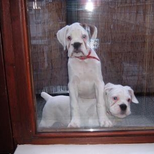 brotherly love!