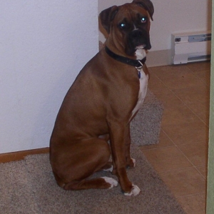 Foster 9 months