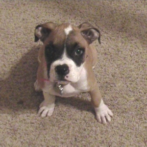Such a beautiful little girl!