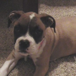 Momma's little girl...