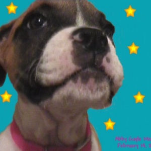 Abby's close up...