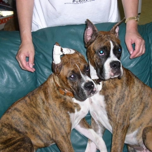 frick and frack