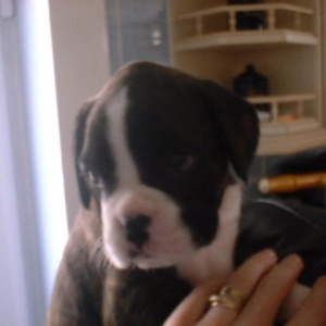 lexy_at_5_weeks