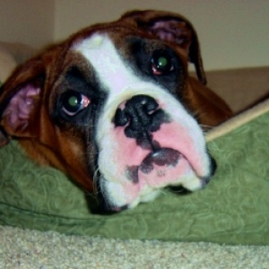 Ali in bed