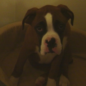 Ali lookin sad