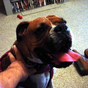Molly