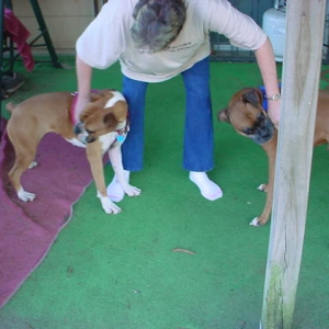Molly -Mom-Beau