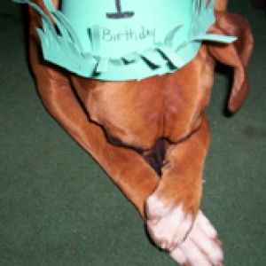 1st birthday