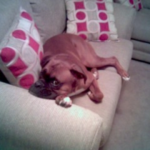 Caught on the new couch