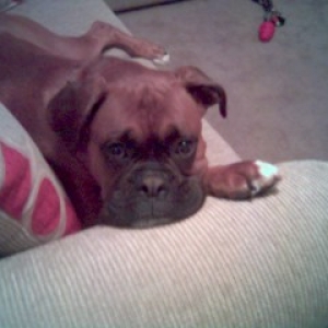 Looking Guilty