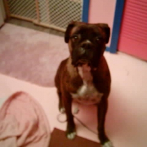 Spike