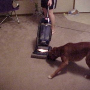 Gunny vs. the Vacuum