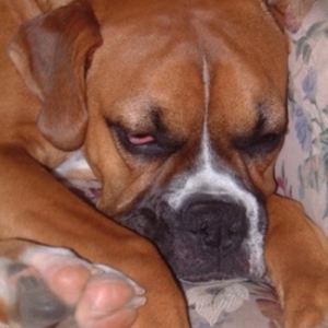 Sleepy Keeya 2