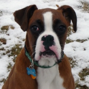 Wintertime Ali