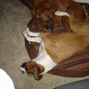 cuddling