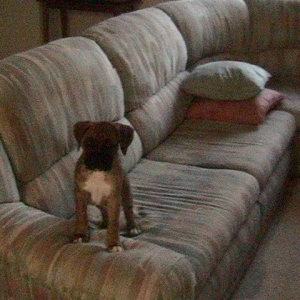 Posing for the camera