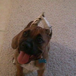 How can you get mad at that face?