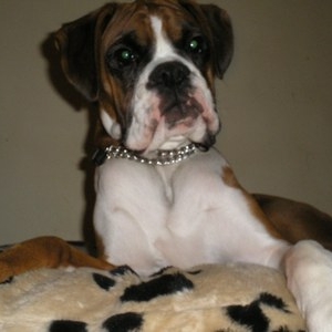 murph