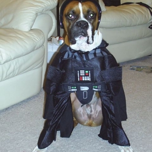 Lord Vader