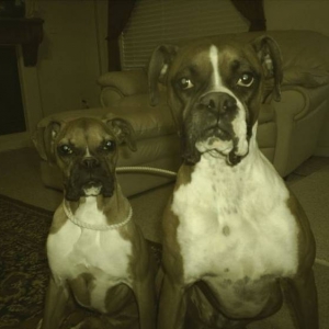 Zeke & Bella - Best Friends
