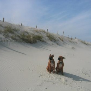 Beach Day