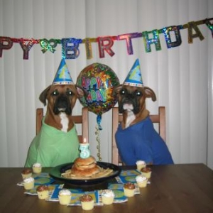 Tyler's Birthday Party