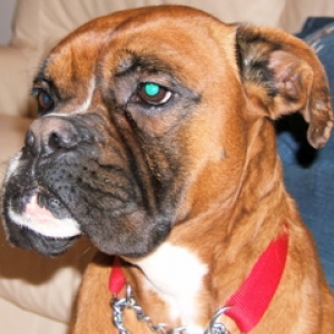 Chester