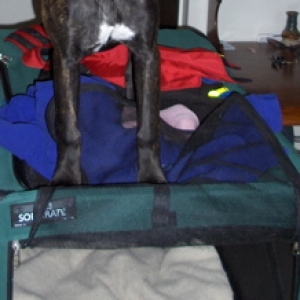 I prefer to stand ON the crate...