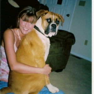 The biggest lap dog
