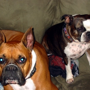 Double Trouble