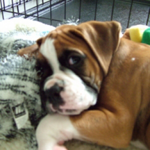 Baby Mason