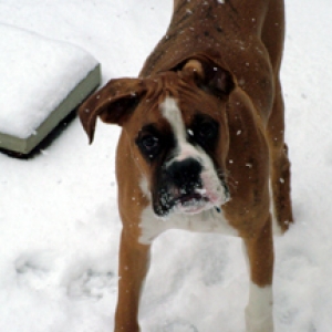 1st snow