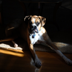 Sunshine