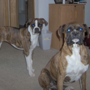 Goldie Girl and Mahamoud Ali Lounging