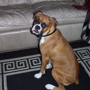 Can I get on the couch now Mom?