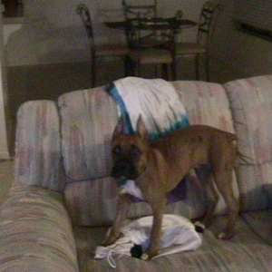 caught taking my clothes out of the hamper