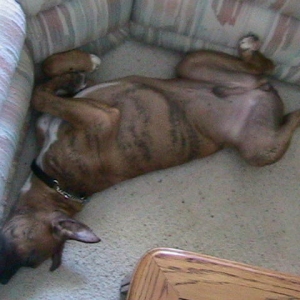 sleeping