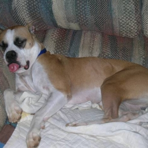 What's up with the tongue??