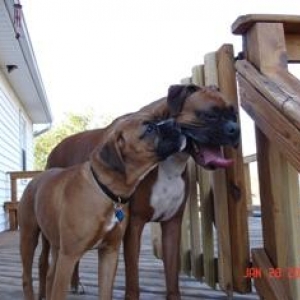 Zoey Loves her Big Brother
