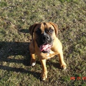 Zoey